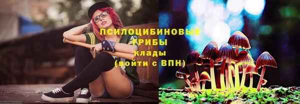 дживик Алексеевка