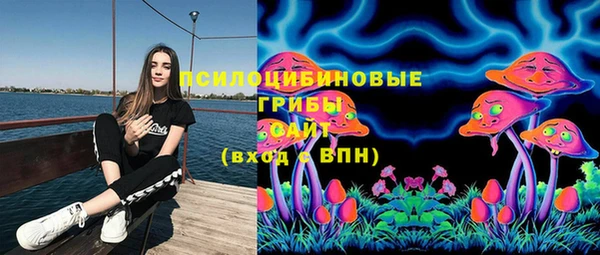 меф Алексин