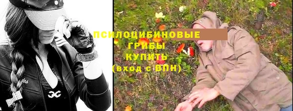 меф Алексин